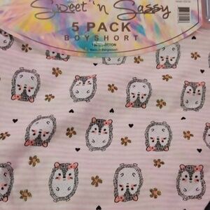 Rae Dunn 10 pak ankle socks & 5 pk boyshort sz LG undies